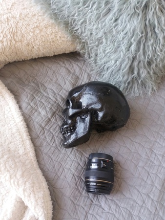 гипсовый череп