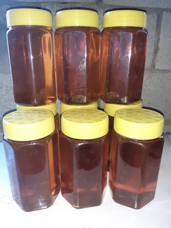 Honey from Kyrgyzstan Toktogul mountain, floral