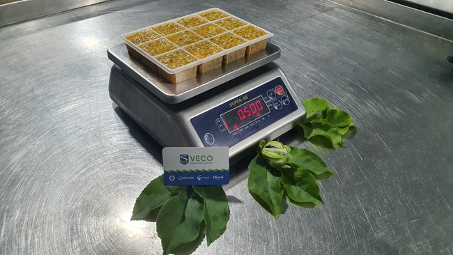 Замороженная Маракуйя кубики. Экзотические фрукты с заводов OLMISH