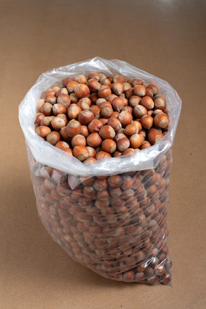 Hazelnut in shell KHAN - Georgia