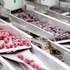 Berry processing line