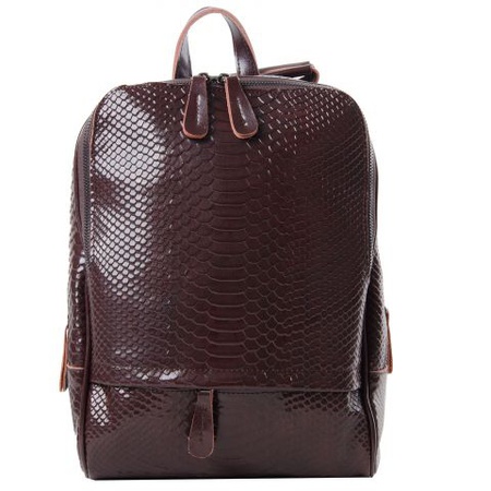 519 Рептилия