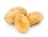 Wholesale of potatoes