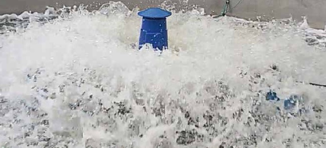 Floating ball aerator