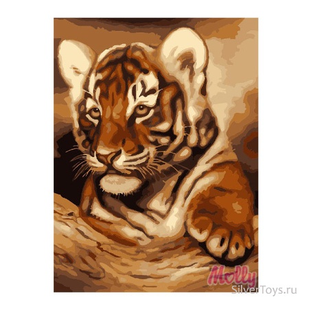 Sayıya göre boya Kaplan yavrusu