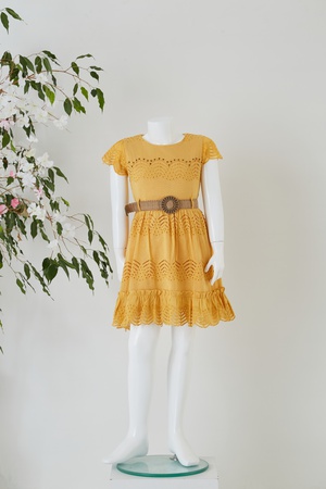 Yarım Kollu Dantel Elbise