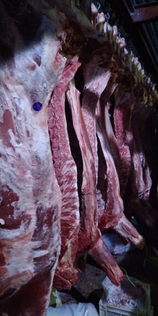 Говядина охлажденка ГОСТ