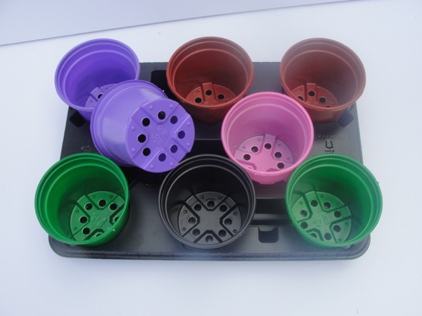 Paletli 8 tencere seti 11 cm