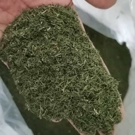 Wholesale: Natural Vegetables