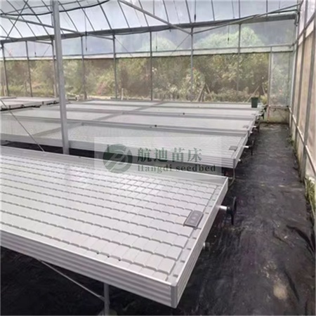 Agricultural greenhouse hydroponic system for growing strawberries and more