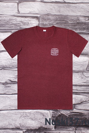 MAN&#39;S T-SHIRT &quot;COMFORT&quot; No. 660-9477