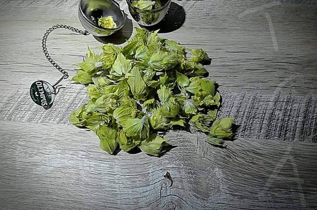 Bitki çayı ayrı ayrı sarılır