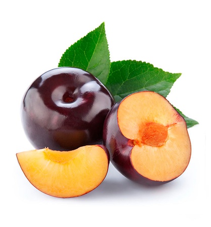 СЛИВА / PLUM