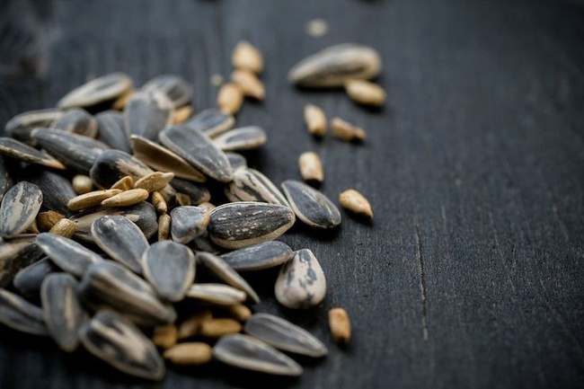 Selected good seeds for sunflower oil