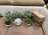 Plastic plants sets 3 pieces per packedging NEW in original packaging