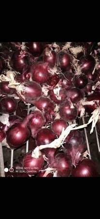 Üreticiden sebze ve meyveler (mevsime göre)