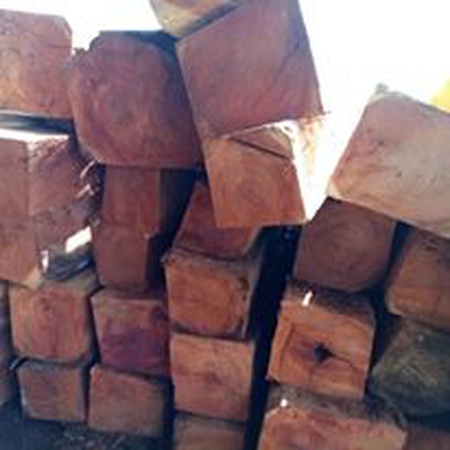 ДЕРЕВЯННЫЕ Бревна СРЕДНЕГО ДИАМЕТРА 80 СМ ИЗ КАМЕРУНА ДОУССИ КОССО ТАЛИ