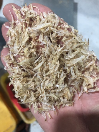 روبيان صغير مجفف بالجملة المأكولات البحرية المجففة روبيان صغير ، روبيان صغير مملح ، روبيان