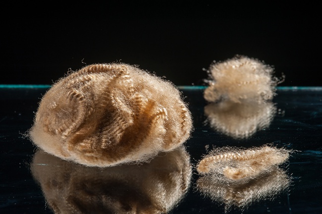 Вторичное полиэфирное волокно (синтетическое волокно, штапельное волокно)