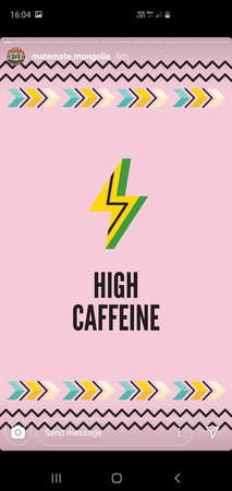 Mate Mate 250Ml - Натуральный энергетический напиток