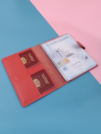 Папка органайзер для документов, семейные документы ПДГ-400