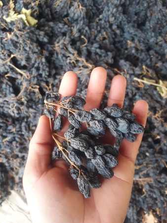 Her türlü yükseliş