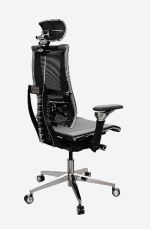 Yoga Spine Triumph B2