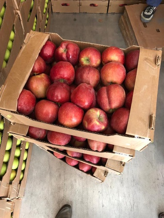 Apples from the producer!