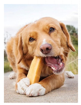 Churpi Bars (Himalyan Dog Chew)