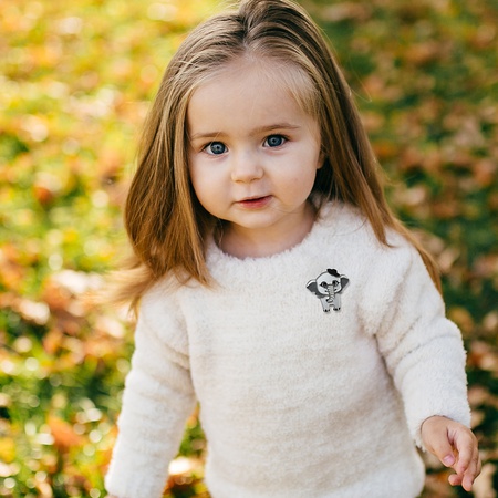 Броши из коллекции Kinder