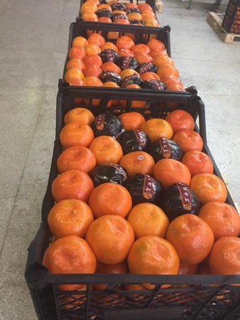 اليوسفي بالجملة