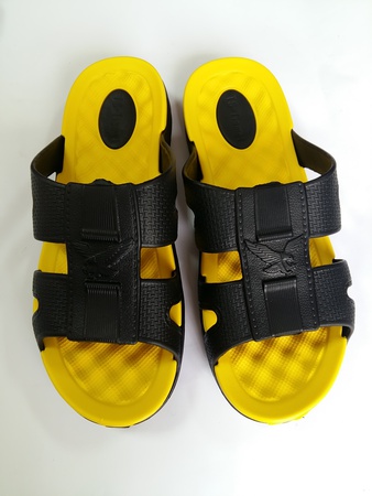 Slippers for men &quot;Two-color eagle&quot;