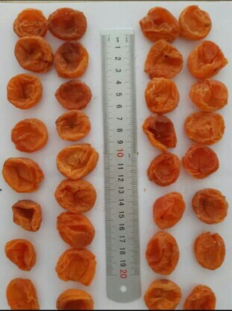 Dried apricot