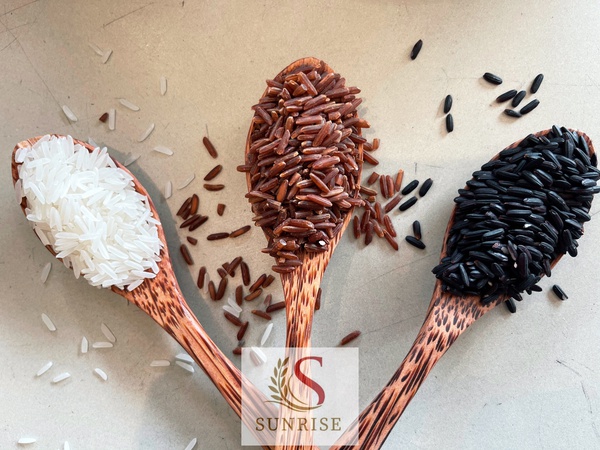 Vietnam pirinç ihracatı toptan pirinç fiyatı 2022 yeni mahsul yumuşak sortexed 5% kırık uzun taneli beyaz pirinç-riz au jasmin