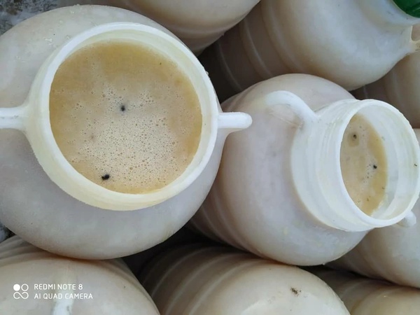Honey from Kyrgyzstan Toktogul mountain, floral