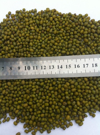 Маш отборные, с высшим качеством