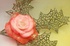 Soap Flowers Rose 3D