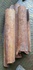Cinnamon cassia