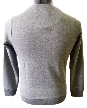 Men's sweatshirt