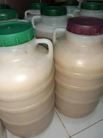 Honey from Kyrgyzstan Toktogul mountain, floral