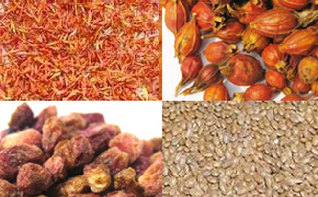 Семена Киви