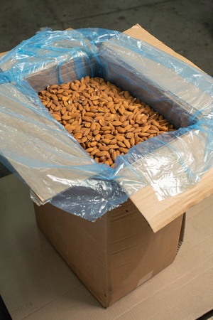 Raw golden almonds (23/25) - Chile