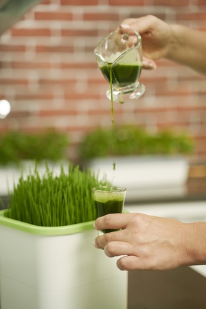 Проращиватель Х1 (Аэросад)