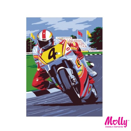 Картина по номерам Скорость