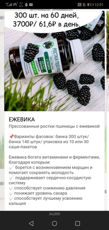 Ростки пшеницы