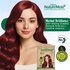 Nisha Naturemate Natural Henna Based Hair Color 90g - Mahogany | Ammonia-Free, PPD & Resorcinol Free | 100% Grey Coverage Hair Colour