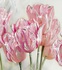 РОЗОВЫЕ ТЮЛЬПАНЫ 1