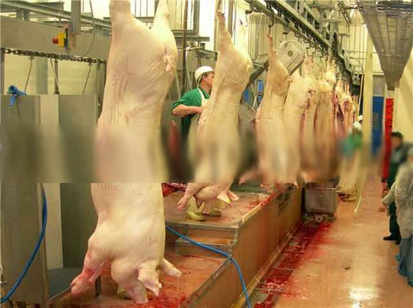 ТРУБЧАТЫЙ ПОДВЕСНОЙ ПУТЬ