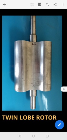 Twin lobe rotor of blower