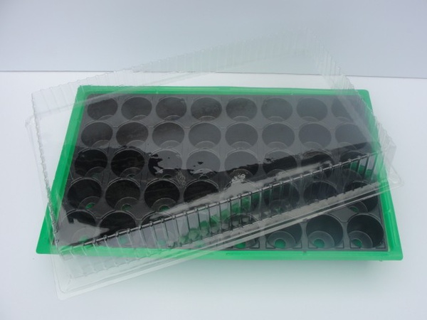 Büyük sera montajı